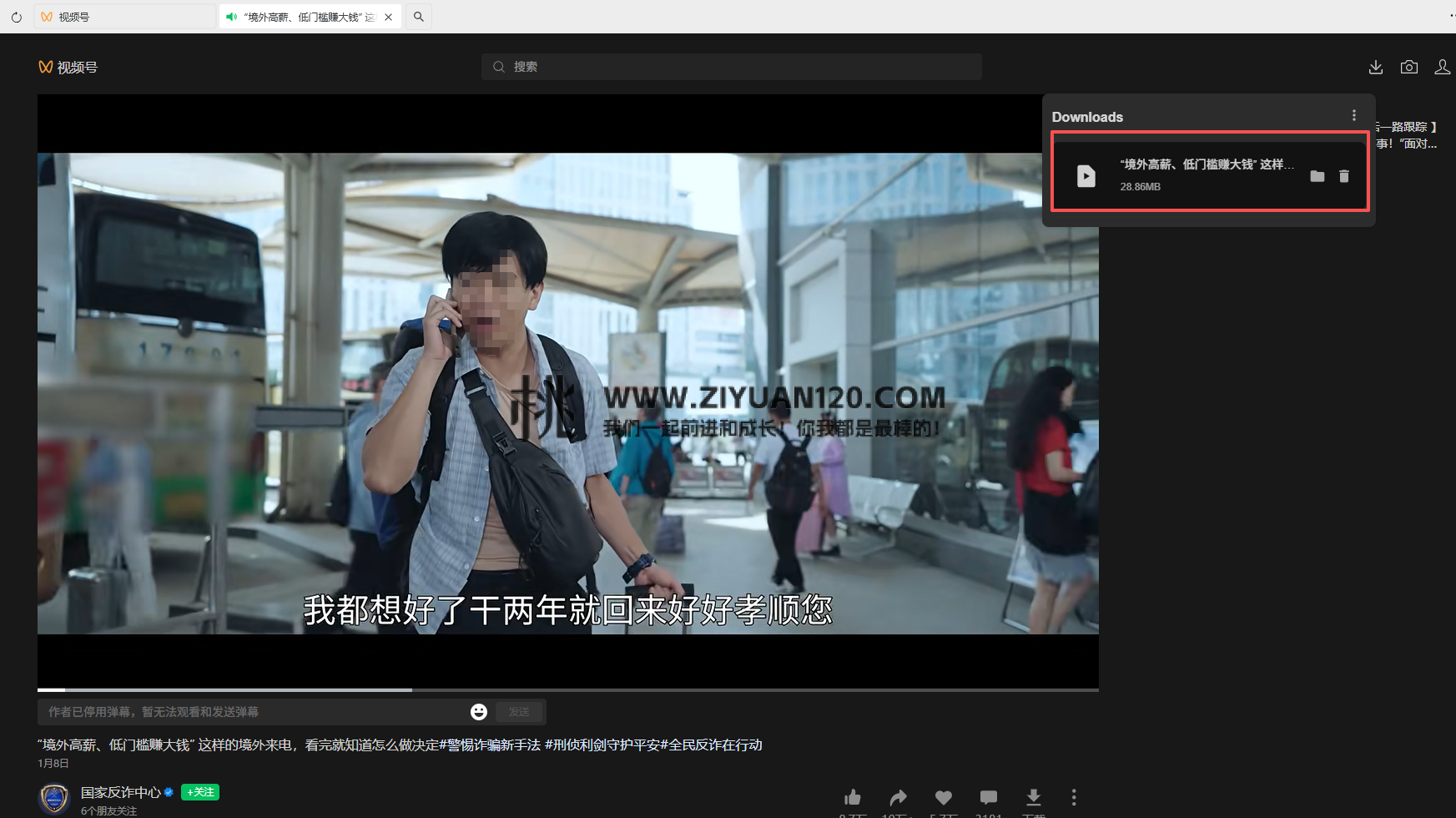 微信视频号下载助手wx_channel v251226插图1 微信视频号下载助手wx_channel v251226插图1